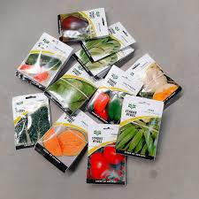 Fruit Seeds Collection